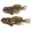 GOBYone Gummifische von Fishn