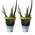 7133 von ‎Fleischle Gartenbau GbR