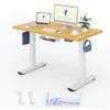 EC1W-EU+PR1206 von Flexispot