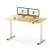 Flexispot Eg1