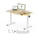 Flexispot ‎EG Set Basic