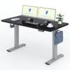 EG1S+PR1407 von Flexispot