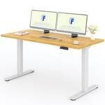 Flexispot höhenverstellbarer Schreibtisch