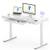 Flexispot Schreibtisch Touch