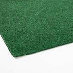 Floordirekt Rasenteppich Farbwunder Pro