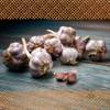 Winterpflanzknoblauch Ljubascha von FLORTUS