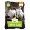 Winterpflanzknoblauch XXL Blanc de Lautrec von FLORTUS