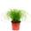2138 von FLOWERBOX
