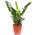 2306 von FLOWERBOX