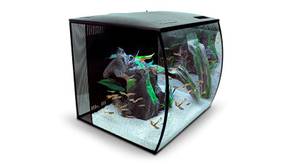 60-Liter-Aquarium