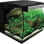 Nano-Aquarium