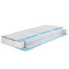Express Double Gelart T von Frankenstolz