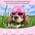 Kleiner Hundehelm Schutzbrille von Frienda