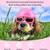 Frienda Kleiner Hundehelm Schutzbrille