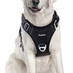 Y-Geschirr Hund