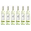 Pinot Grigio von Gallo Family Vineyards