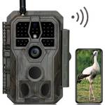 Wildkamera mit WLAN
