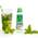 Fructis Mint Fresh Duft Invisible Trockenshampoo von Garnier