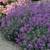 Garten Schlüter 44230