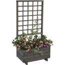 Blumenkasten mit Rankgitter Hellbrunn von Gaspo