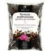 Orchideenerde von GebEarth
