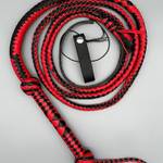 Bullwhip