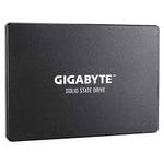 Gigabyte GP-GSTFS31256GTND