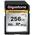 SDXC 256 GB von Gigastone