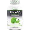 Vit4ever Ginkgo Biloba Extrakt 6000mg