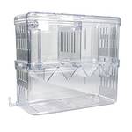 Gittcoll Zuchtbox