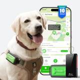 Glocalme T10-PET-EU