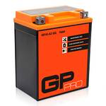 GP-Pro GP-009