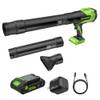 24V Akku Laubbläser von Greenworks