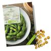 Bohnen-Samen Edamame von Growgreens