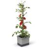 Tomatentopf von Gusta Garden
