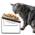 Ergonomischer Katzennapf von GUUSII HOME