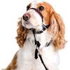 OptiFit Kopfhalsband für Hunde von Halti