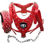 Haoyueer Hundegeschirr-Leder