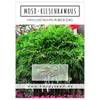 Moso-Riesenbambus von HappySeed