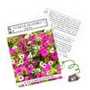 Petunien-Samen von HappySeed