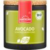 Bio Avocado von Hartkorn