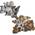 Kräuterseitling und Shiitake Kultur von Hawlik Pilzbrut