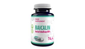 Baikal-Helmkraut