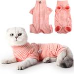 Katzenbody