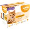 Futter für Junior Kätzchen von Iams