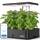 Smart Garden