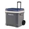 Maxcold 62 von Igloo