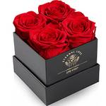 Impouo Rosenbox