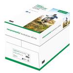 Inapa Recyclingpapier