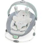 Ingenuity Twinkle Teddy Bear